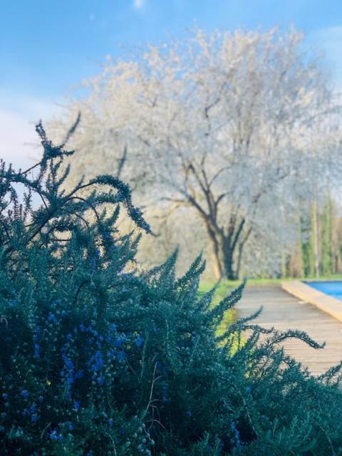 La Maison D' Hote Du Fond Du Riu Otel Allemans-du-Dropt Dış mekan fotoğraf